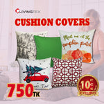 10 Pcs Cushion with Assorted Cushion Cover