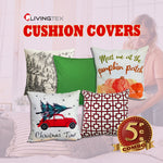 5 Pcs Cushion with Assorted Cushion Cover
