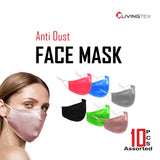 10 Pcs Assorted Washable Face Mask