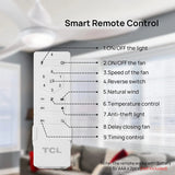 TCL 48 Inch Modern Ceiling Fan with Lights and Remote Control