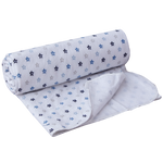 Baby Katha/Baby Blanket (BBN-59)