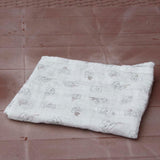 Baby Katha/Baby Blanket (BBN-62)
