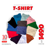 10 Pcs Classy Solid Color and Assorted T-Shirt